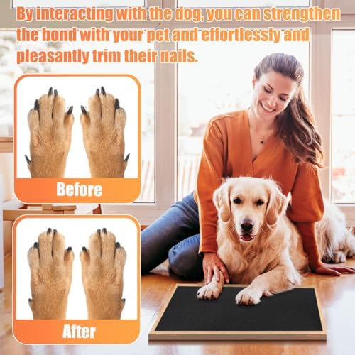 6 PCS Pet Nail Self Adhesive Replacement Emery Paper, 10in*17.7in - Image 3