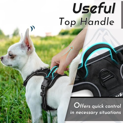 Eagloo Dog Harness for Small Dogs, No Pull Pet Vest - Image 5