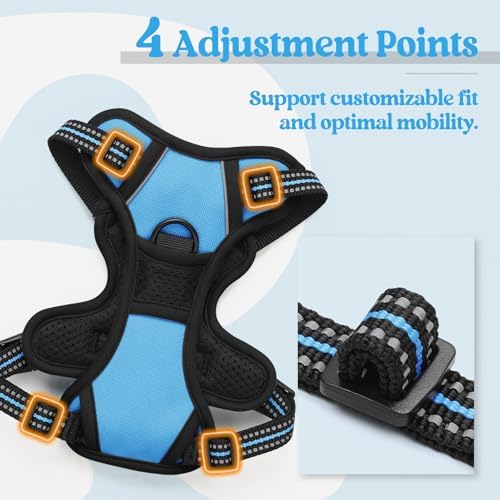 rabbitgoo Dog Harness, No Pull for Small Dogs - Image 4