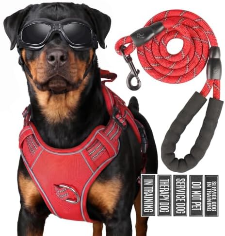 Dog Harness and Leash Set for Small Dogs, No Pull Tactical Dog Harness by Unknown