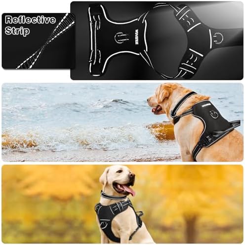 WINSEE Dog Harness No Pull, Pet Harnesses - Image 3