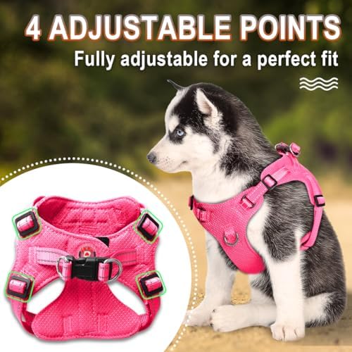 BARKBAY Small Dog Harness, No Pull Puppy Harness, Step-in Dog Vest - Image 3