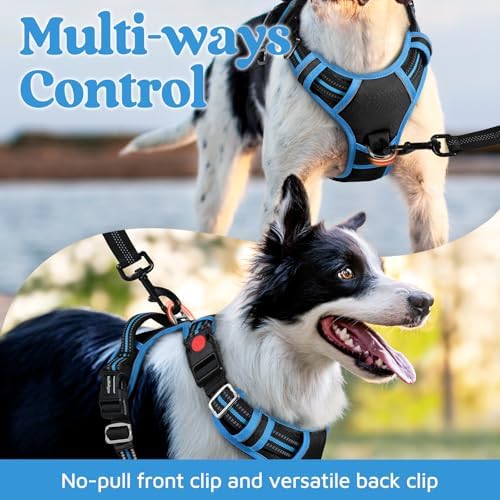 rabbitgoo Dog Harness for Large, No Pull 3 Buckles Easy On & Off - Image 3