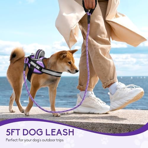 Service Dog Harness and Leash Set, - Image 6