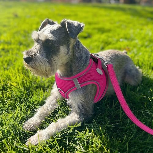 Joytale Step-in Dog Harness, Soft Breathable Mesh, Hot Pink XS - Image 2