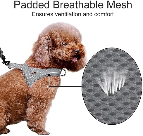 Plutus Pet No Pull Dog Harness for Medium Sized Dog, Breathable Mesh Padded - Image 3