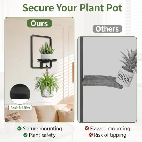 LASZOLA Plant Picture Frame Holder Shelf Wall Window Indoor - Image 5