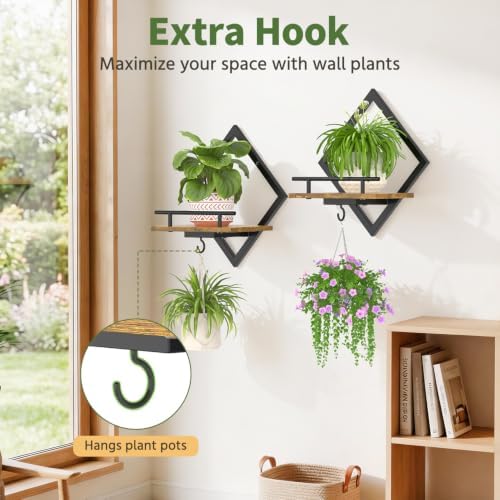 LASZOLA Plant Picture Frame Holder Shelf Wall Window Indoor - Image 4