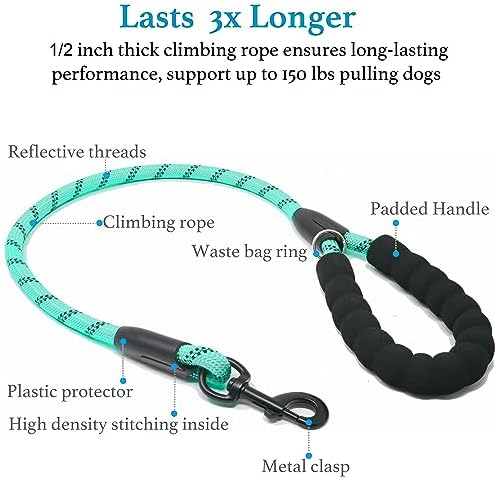 iYoShop Double Dog Leash, 360° Swivel, No Tangle, 25-150 lbs - Image 3