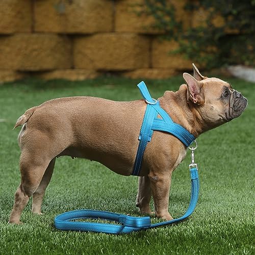 Plutus Pet No Pull Dog Harness for Small Dogs, Breathable Mesh Padded - Image 5