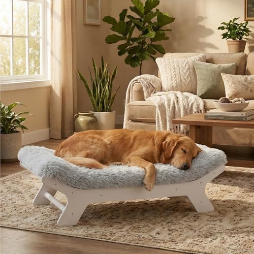Muihood Elevated Wood Dog Bed Frame by MUIHOOD
