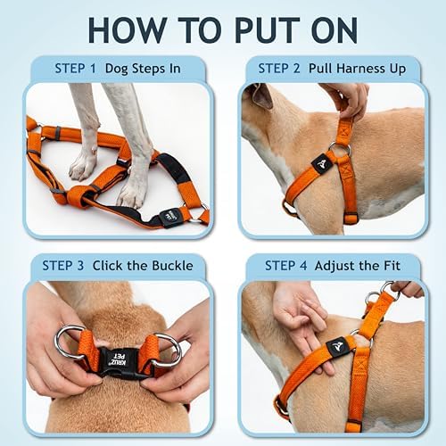 Kruz No Pull Dog Harness Heavy-Duty Pet Harness - Image 5