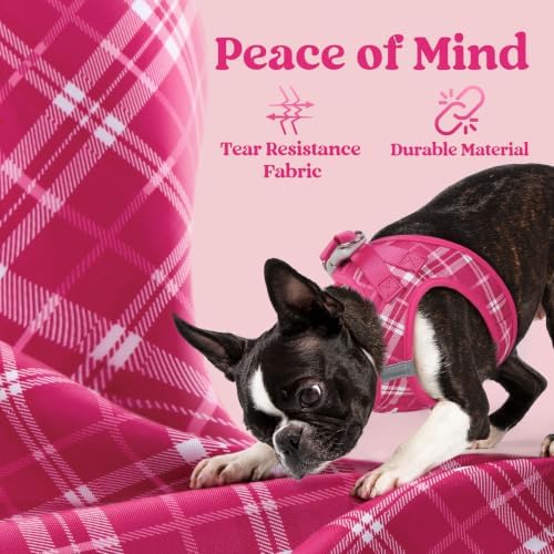 rabbitgoo Step-in Small Dog Harness, Puppy Vest - Image 7