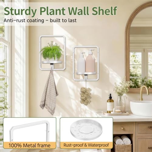 LASZOLA Plant Picture Frame Holder Shelf Wall Window Indoor - Image 3