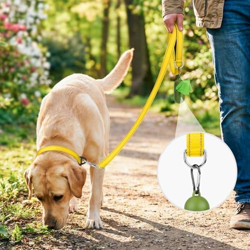 Joytale Reflective Dog Leash for Medium & Large Dogs, 5 FT x 1" - Image 2