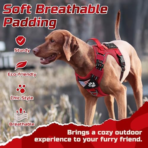 rabbitgoo Tactical Dog Harness for Small, No Pull Military Service Vest - Image 5