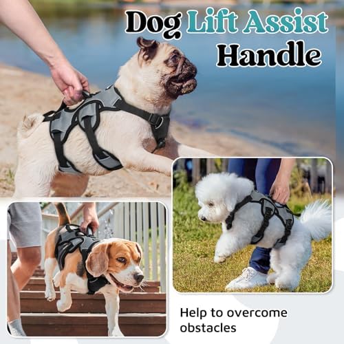 rabbitgoo Escape Proof Dog Harness - Image 3