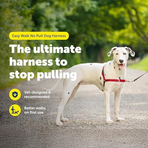 PetSafe Easy Walk Harness - Image 2