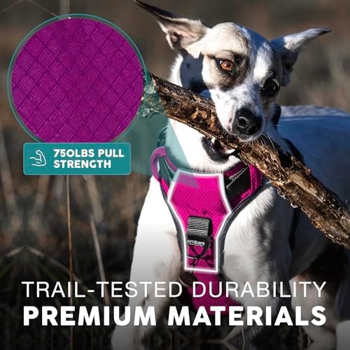 Embark No Pull Dog Harness, Reflective Adjustable Training Vest, No Choke - Image 6