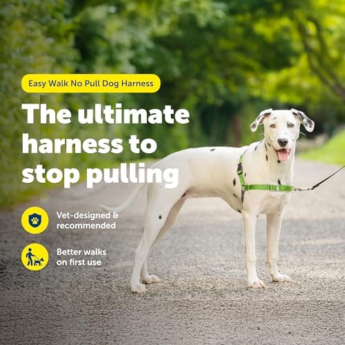 PetSafe Easy Walk Harness, No Pull Dog Harness, Apple Green, Medium/Large - Image 2