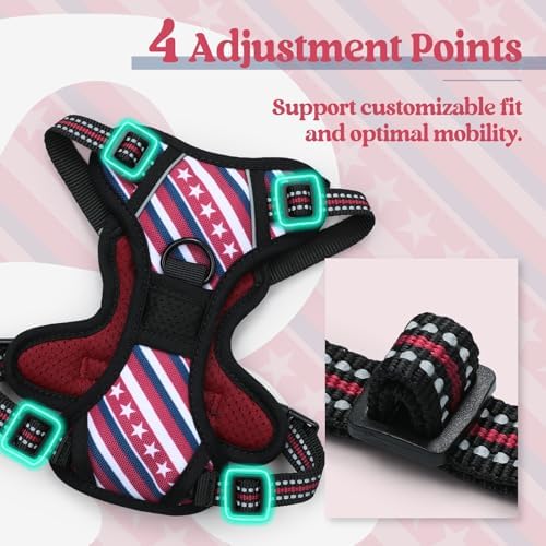 rabbitgoo Dog Harness, No Pull for Small Dogs - Image 4