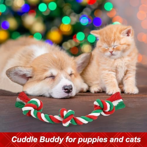 SZEE Dog Rope Toys 2 Pcs - Image 7
