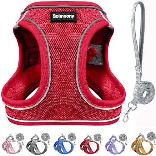 Solmoony Sparkly Small Dog Harness and Leash Set, Step in Soft Light Puppy Vest by SOLMOONY