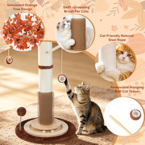 Cat Scratching Post - Image 4