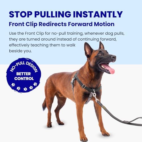 Freedom No Pull Dog Harness for Large Dogs - Image 2
