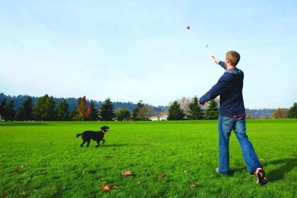 Chuckit! Pro 26XL Dog Ball Launcher, XL - Image 2