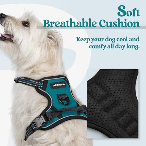 rabbitgoo Dog Harness, No Pull for Small Dogs - Image 2