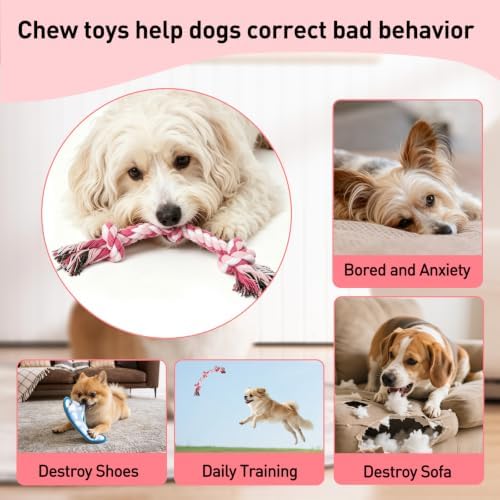 SZEE Dog Rope Toy 2-Pack, Rope Toys - Image 4