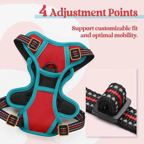 rabbitgoo Dog Harness, No Pull for Small Dogs - Image 4