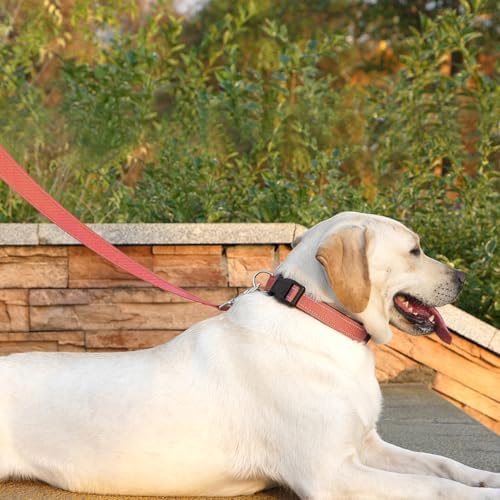 6 FT Basic Dog Leash for Medium Dogs - Image 2