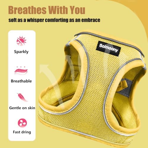 Solmoony Sparkly XXS Dog Harness and Leash Set, Step in Soft Light Puppy Vest - Image 4