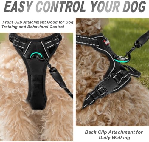 BARKBAY Dog Harness No Pull for Small Sized Dog Front Back Clips, Dog Vest - Image 2