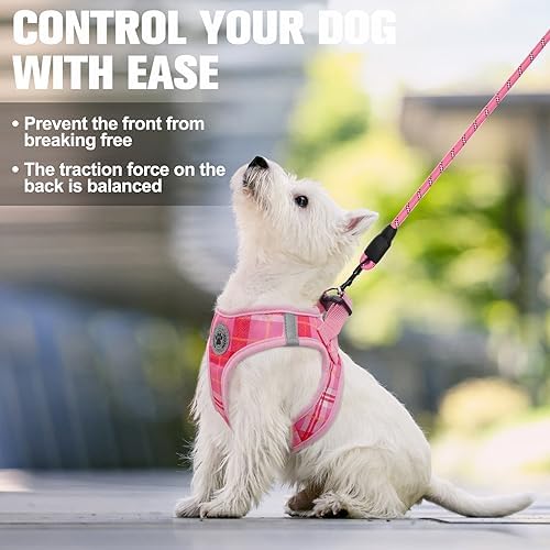 BEAUTYZOO Large Dog Harness and Leash Set, No Pull Puppy Pet Vest - Image 4