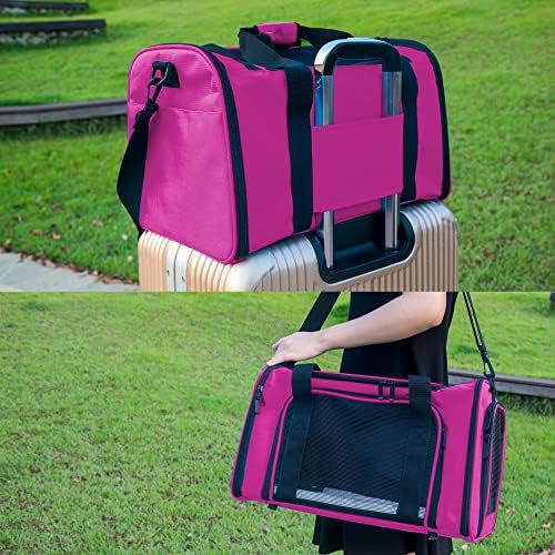 Soft Sided Carrier for Small Medium Cats Dogs, Removable Pad Collapsible Travel - Image 6