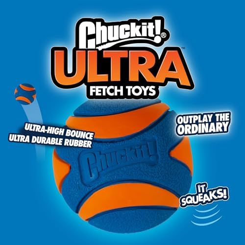 Chuckit! Ultra Ball Dog Fetch Toy, Medium 2.5in, 4 Pack - Image 6