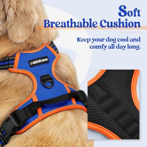 rabbitgoo Dog Harness, No Pull for Small Dogs - Image 2