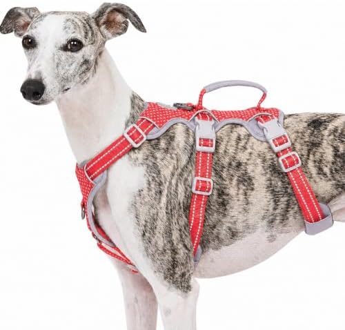 Huntboo Escape Proof Dog Harness, No Pull Reflective Harness by Huntboo