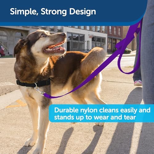 PetSafe Nylon Dog Leash - Image 4