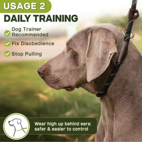 Fida Durable Slip Lead Dog Leash, 6 FT x 3/8" Dog Training Leash - Image 4