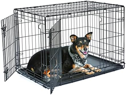 New World by Midwest 36-Inch Double Door Crate, M-L Breeds, 41-70 lbs by NewWorldPetProducts