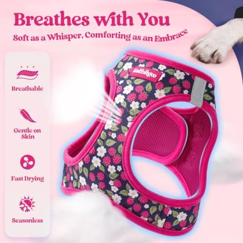 rabbitgoo Dog Harness Medium Sized and Leash Set, Step-in Puppy Pet Vest - Image 4