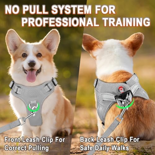 BARKBAY Small Dog Harness, No Pull Puppy Harness, Step-in Dog Vest - Image 5