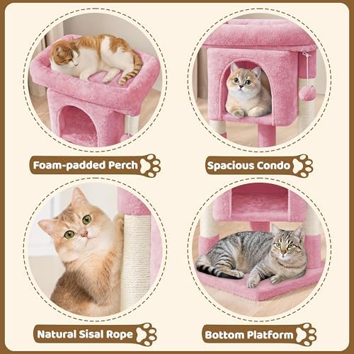 Yaheetech 23.5in Small Low-Profile Cat Tree Condo - Image 4