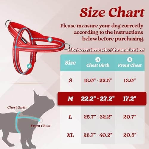 rabbitgoo Dog Harness No Pull, Quick Fit - Image 2