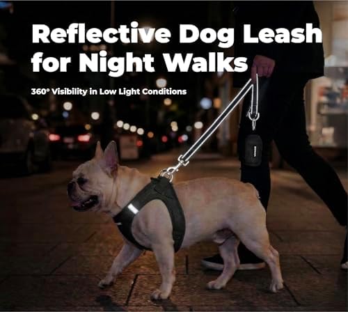 Best Pet Supplies Voyager Nylon Dog Leash - Image 4