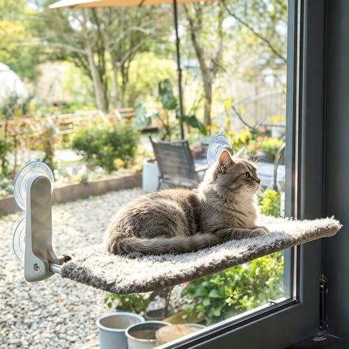 YUNIQUE Cat Window Perch, Upturned Edge Bracket, Portable Wall Hammock by YUNIQUE